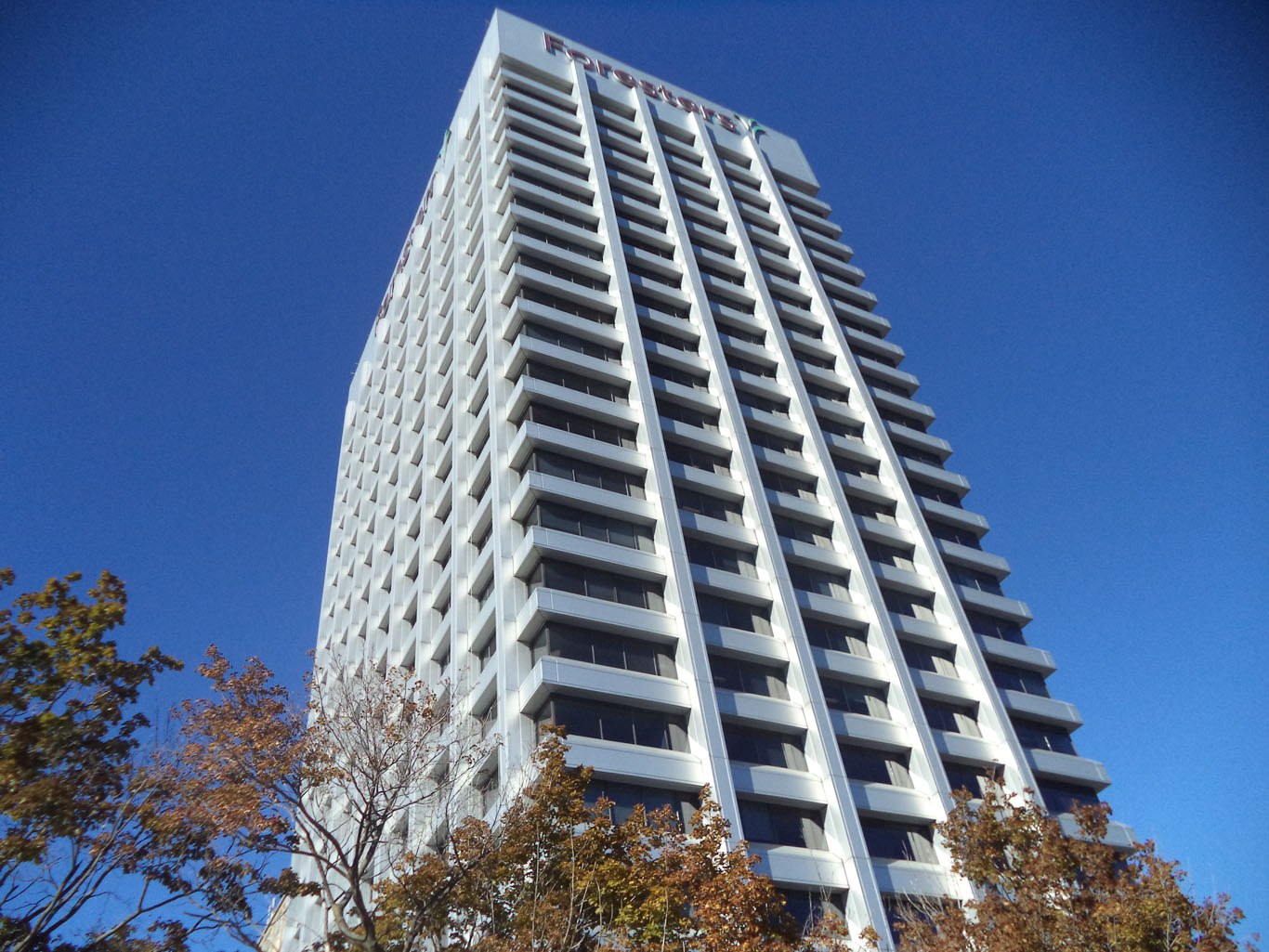 Maximus Canada - Toronto